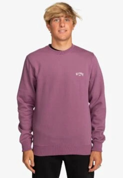 Billabong Arch - Sweater - Ppf