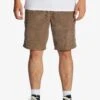 Billabong Larry- Shorts - Earth 2 Billabong Larry- Shorts - Earth -Billabong 63e0f0a4c6ae4f398e1a7f7fad40bf44
