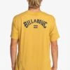 Billabong Arch Wave- T-Shirt Print - Gld