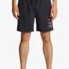 Billabong Riot Layback - Zwemshorts - Black 2 Billabong Riot Layback - Zwemshorts - Black -Billabong 9fad428bbf4845e28ee19c7c4d572572
