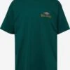 Billabong T-shirts Shirt RIDGE Heren Smaragd
