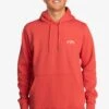 Billabong Arch- Hoodie - Crl 2 Billabong Arch- Hoodie - Crl -Billabong f2114ef739344d3399fcd27529fab0d0
